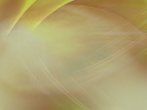 身份认证技术选型决策树